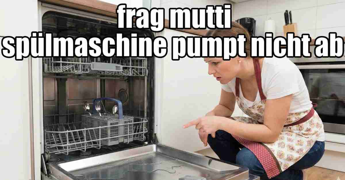 Frag Mutti Spülmaschine pumpt nicht ab Panik