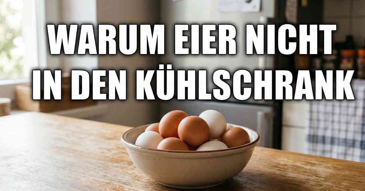 Gut zu wissen Warum Eier nicht in den Kühlschrank